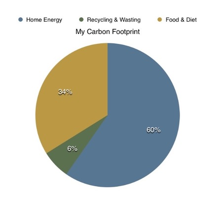 average carbon footprint